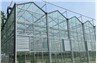 Aluminum frame green house